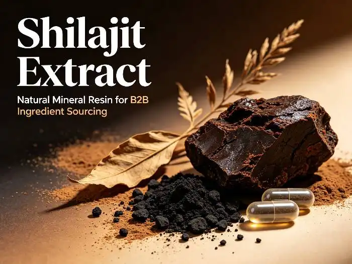 How Is Shilajit Extract Used in Ingredient Manufacturing?